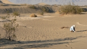 PICTURES/Death Valley - Sand Dunes/t_P1050711.JPG